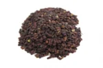 حلبة الخيل